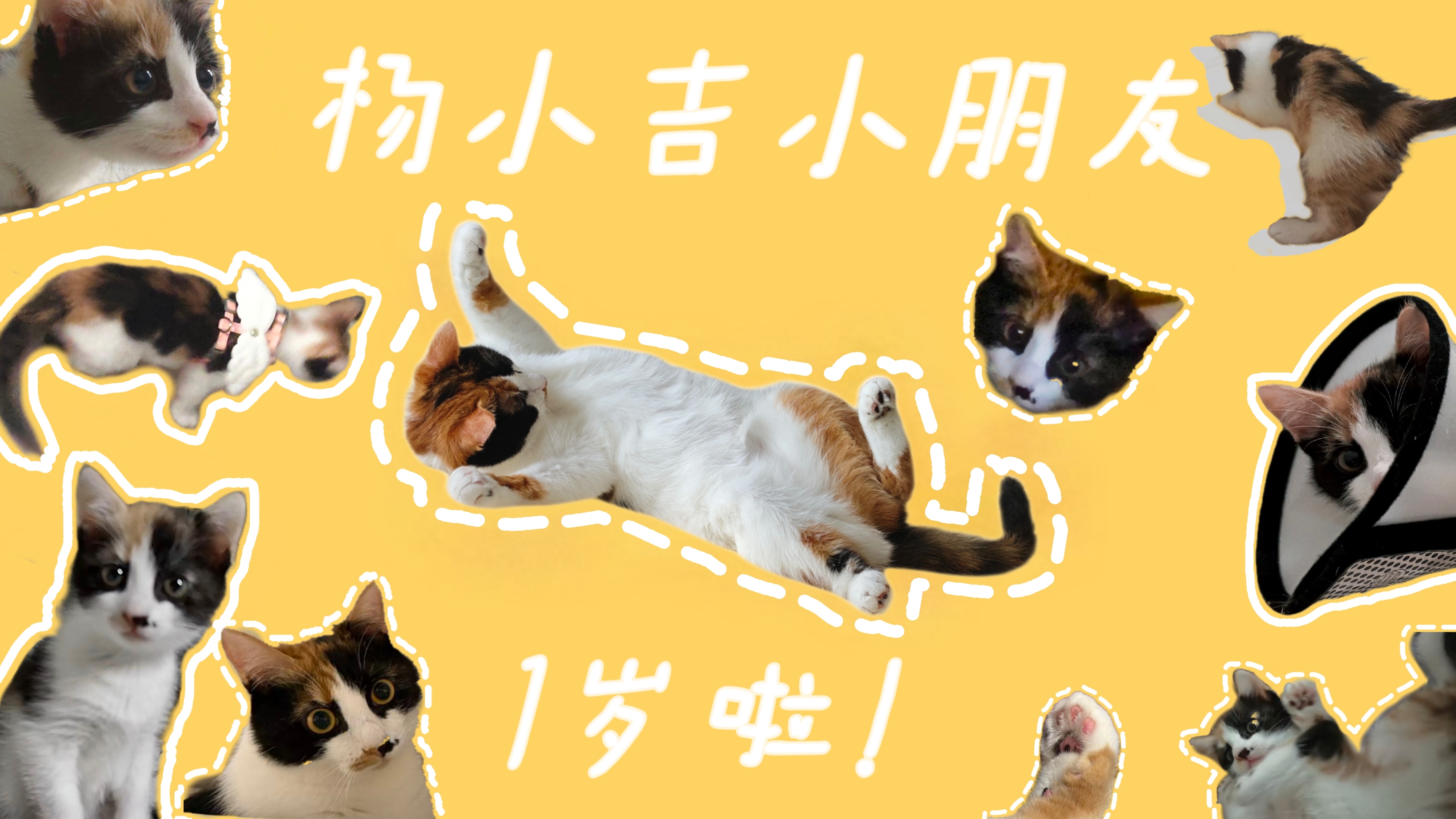小吉一岁啦