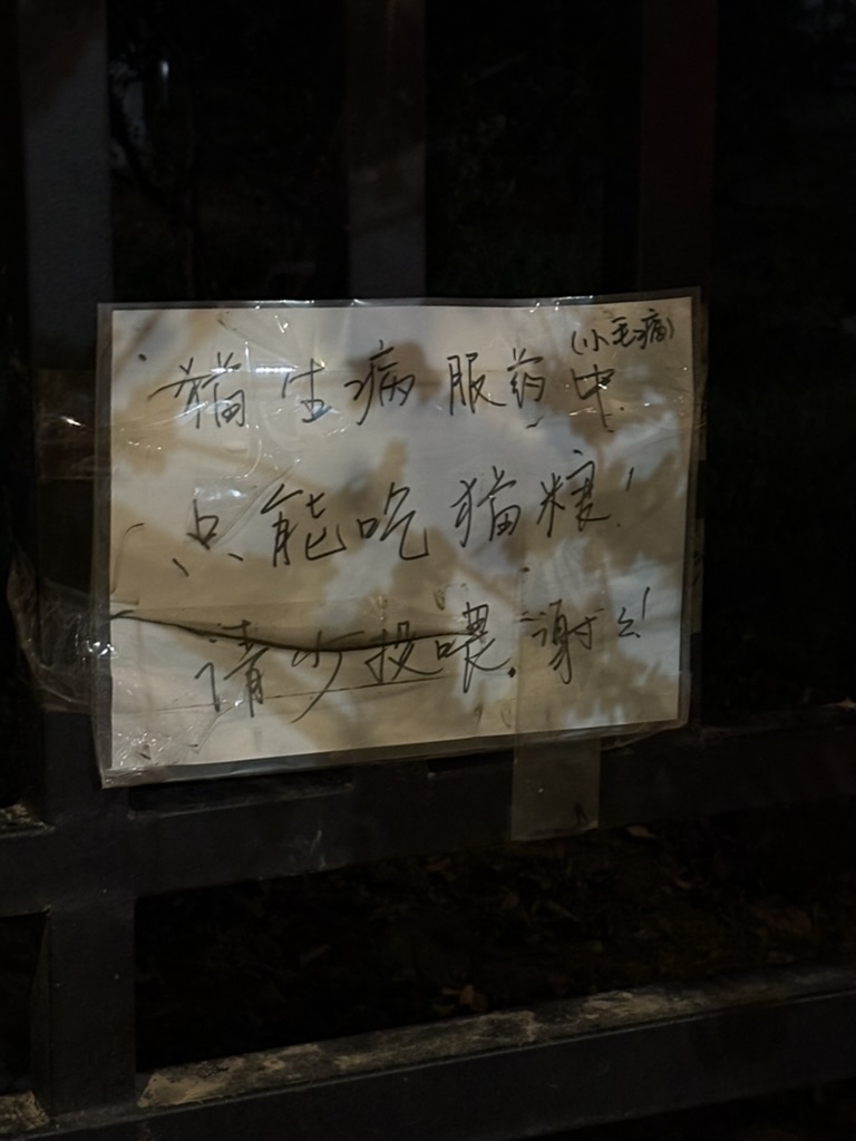 奶奶的字