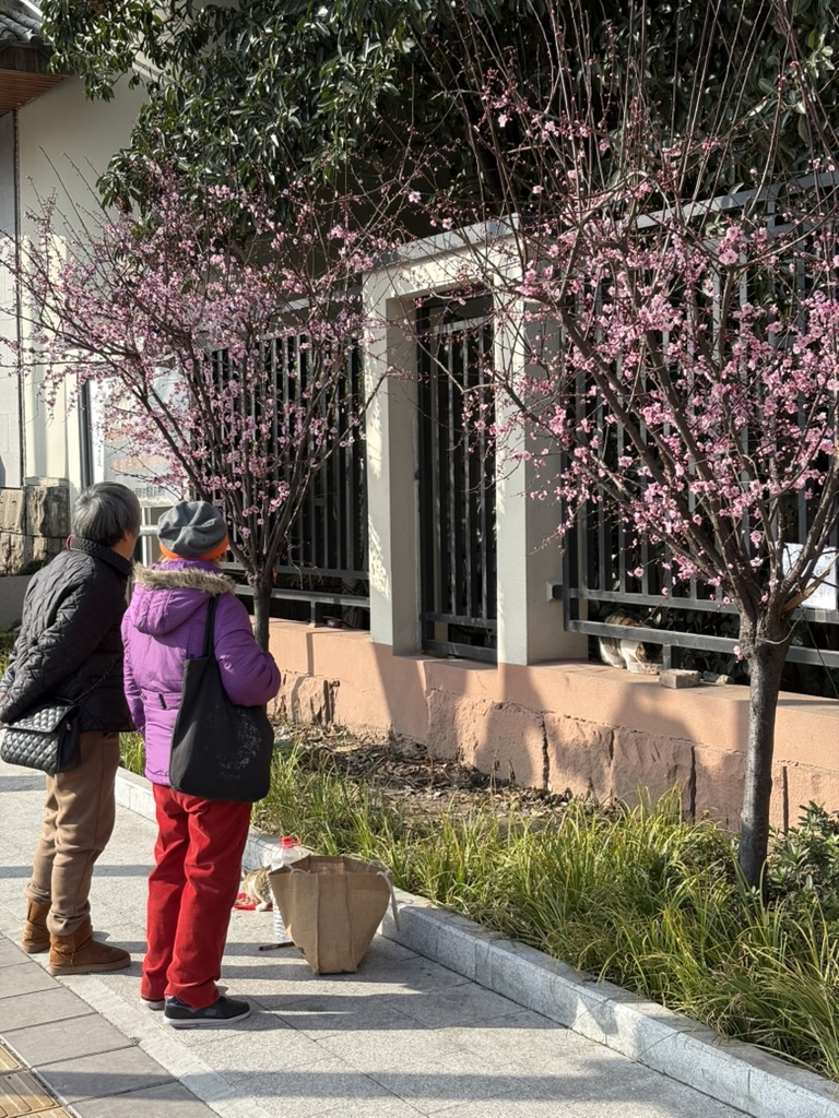好心的奶奶