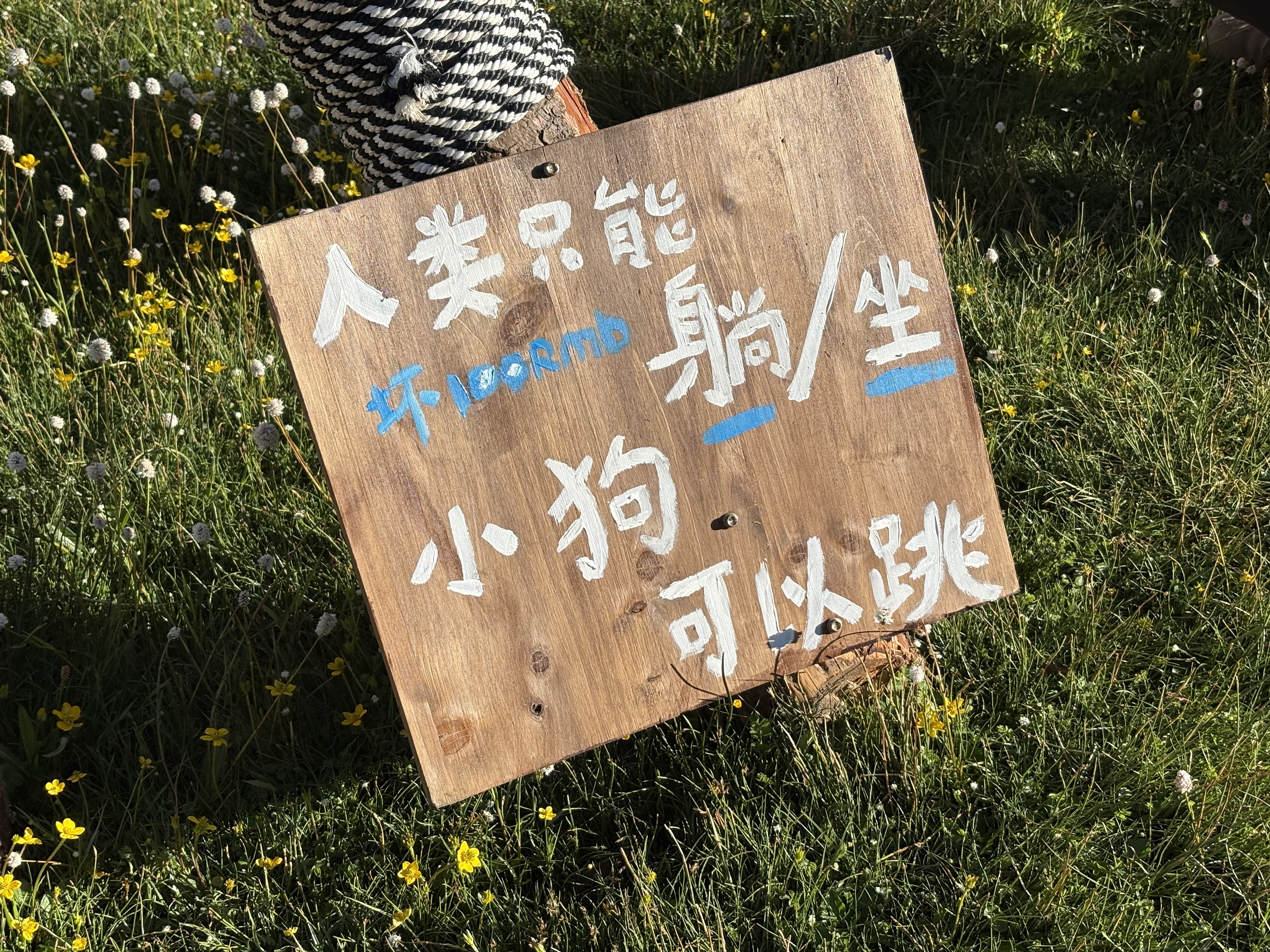 小狗蹦床